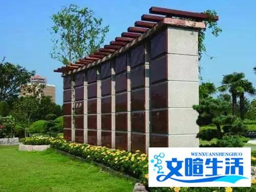比房价贵5倍！这个城市开始对墓地也限购了