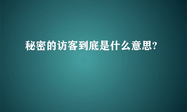 秘密的访客到底是什么意思?