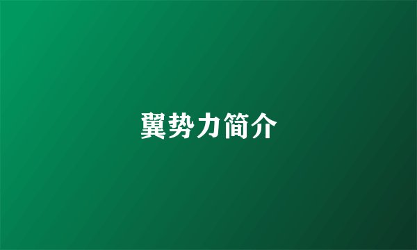 翼势力简介