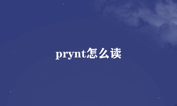 prynt怎么读