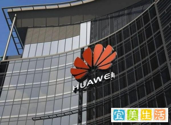 华为巨额分红！人均48万元！