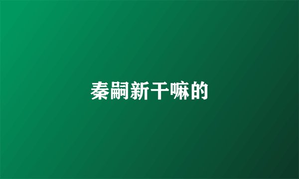 秦嗣新干嘛的
