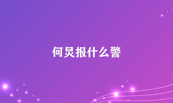 何炅报什么警