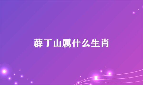薜丁山属什么生肖
