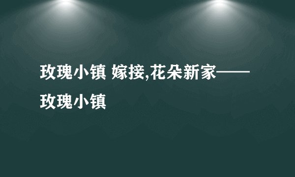 玫瑰小镇 嫁接,花朵新家——玫瑰小镇