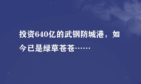 投资640亿的武钢防城港，如今已是绿草苍苍……