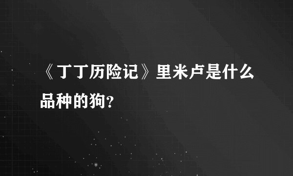 《丁丁历险记》里米卢是什么品种的狗？
