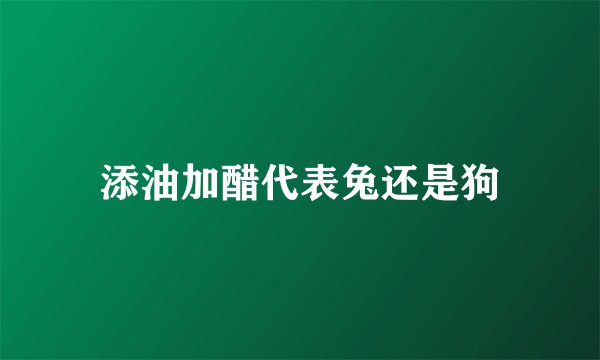 添油加醋代表兔还是狗
