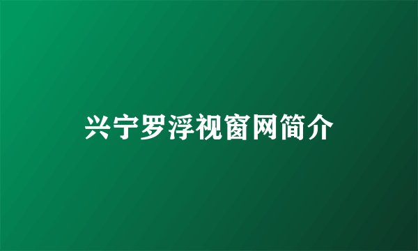 兴宁罗浮视窗网简介
