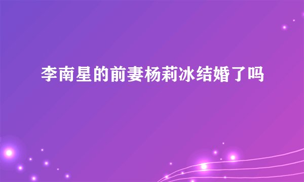 李南星的前妻杨莉冰结婚了吗