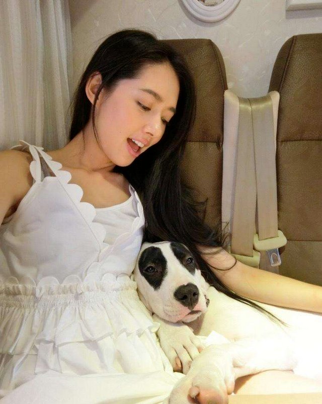 向太对郭碧婷已生女的谣言都表达了什么？