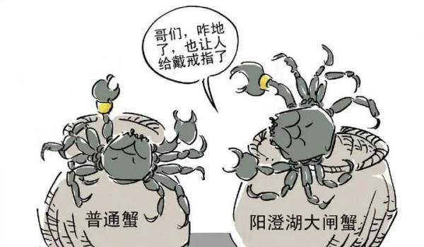 前TVB小生陈键锋卷入命案？一对一教潜水，学员却突发意外溺亡
