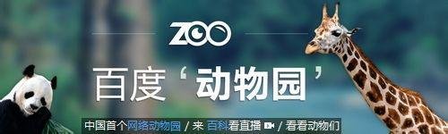 百度动物园怎么看直播，百度动物园怎么加入？