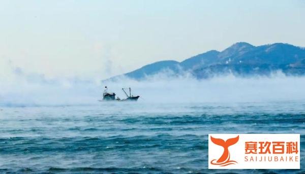 青岛海浪翻涌瞬间被冻住 这是咋情况?