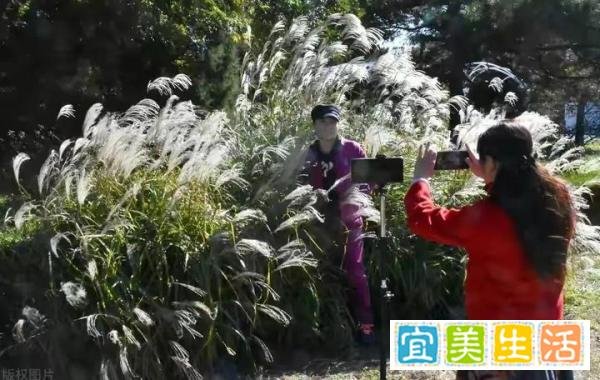 今天霜降，记住“331”传统习俗，老传统别丢，日子越过越顺溜