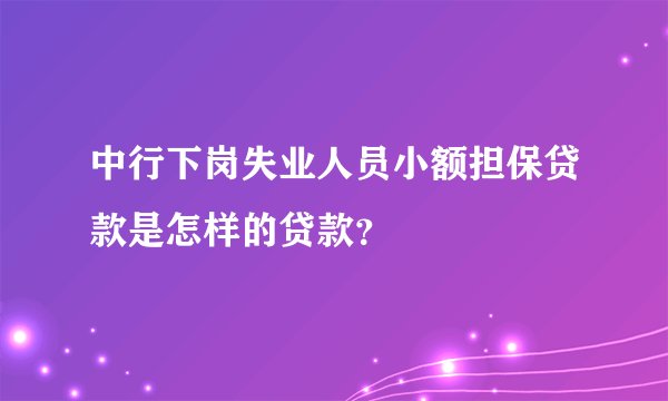 中行下岗失业人员小额担保贷款是怎样的贷款？