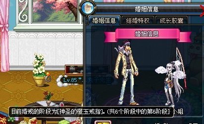 dnf结婚属性最高多少