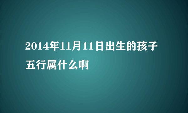 2014年11月11日出生的孩子五行属什么啊