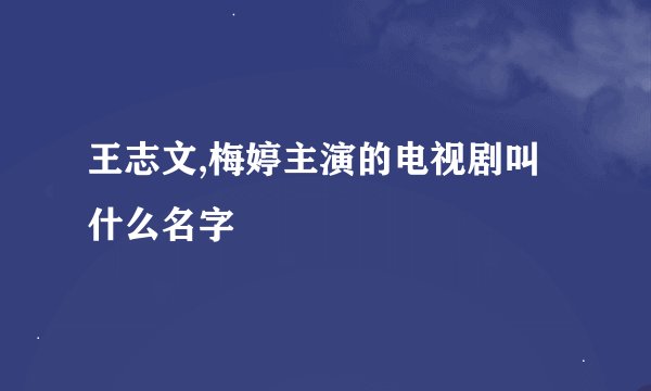 王志文,梅婷主演的电视剧叫什么名字