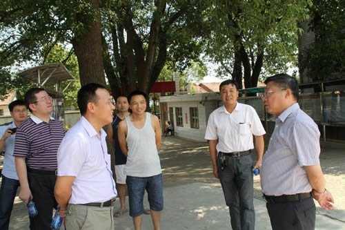 山乡书记的幕后故事