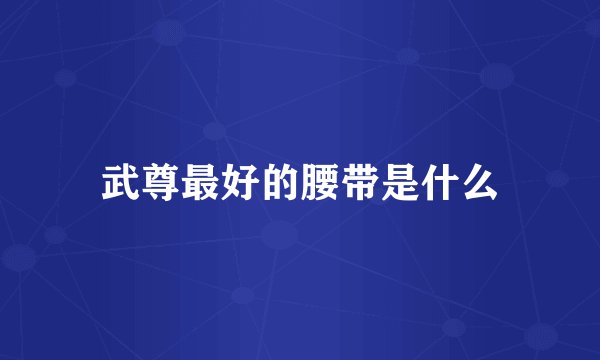 武尊最好的腰带是什么