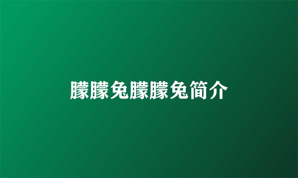 朦朦兔朦朦兔简介