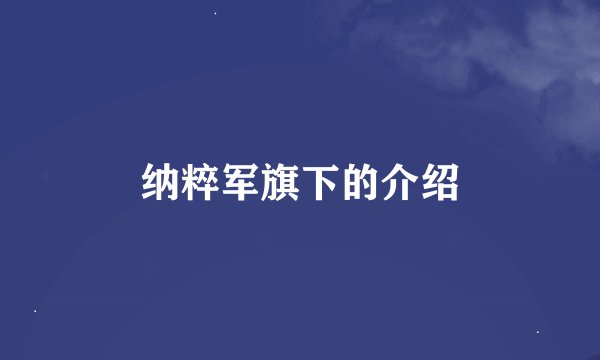 纳粹军旗下的介绍