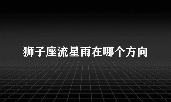狮子座流星雨在哪个方向