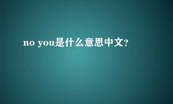 no you是什么意思中文?