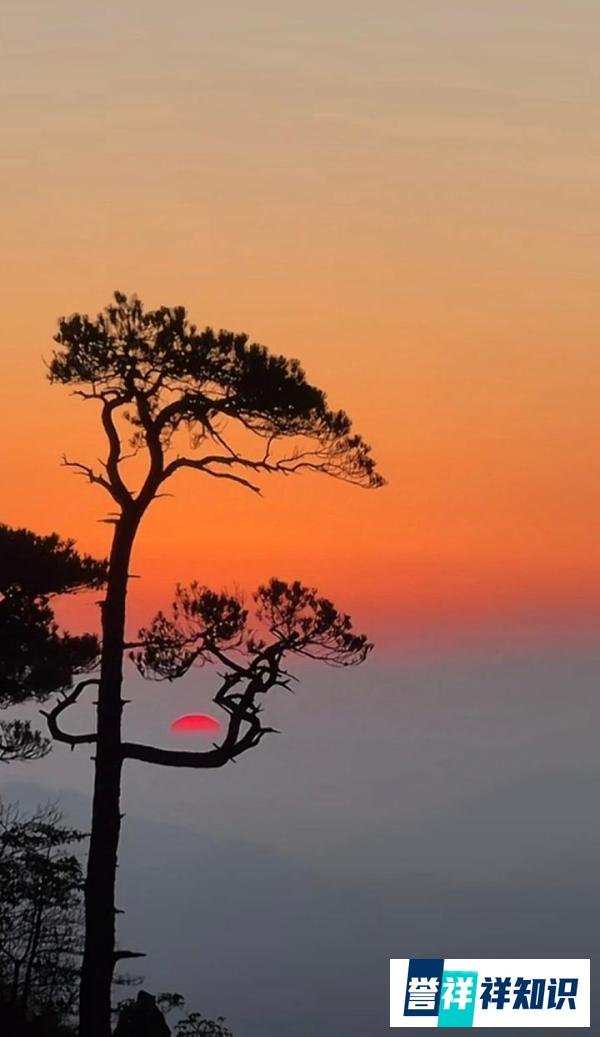 登上黄山才发现水墨画还是保守了