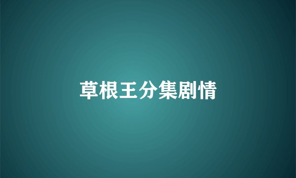 草根王分集剧情