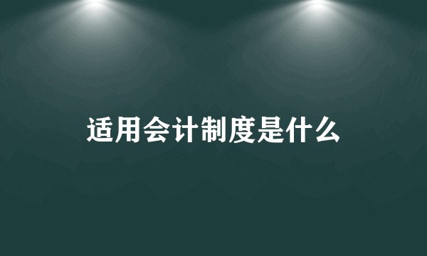 适用会计制度是什么