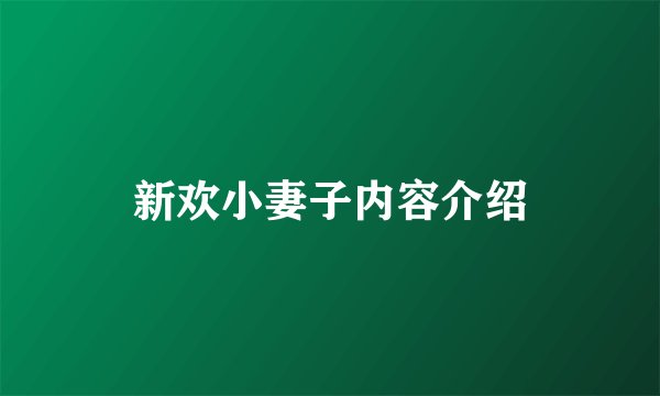 新欢小妻子内容介绍