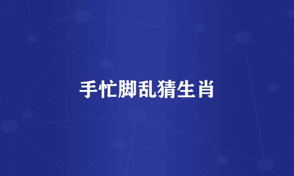 手忙脚乱猜生肖