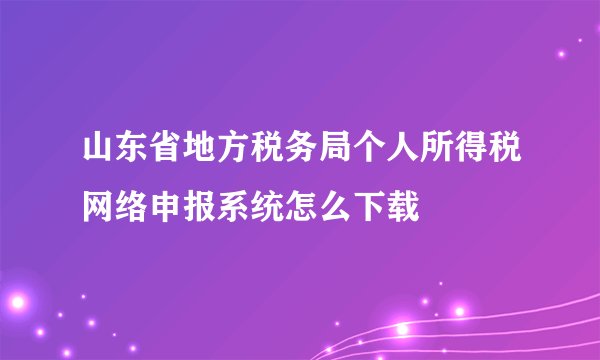 山东省地方税务局个人所得税网络申报系统怎么下载