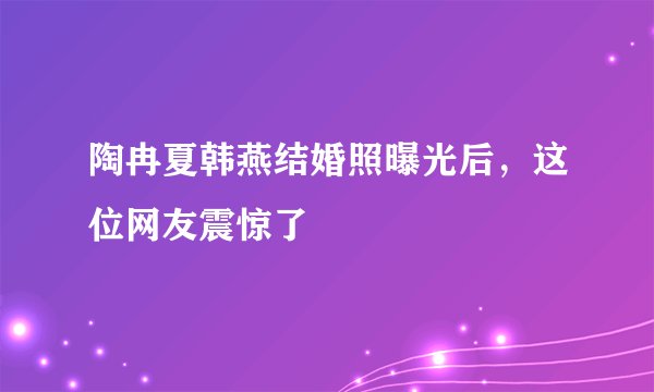 陶冉夏韩燕结婚照曝光后,这位网友震惊了