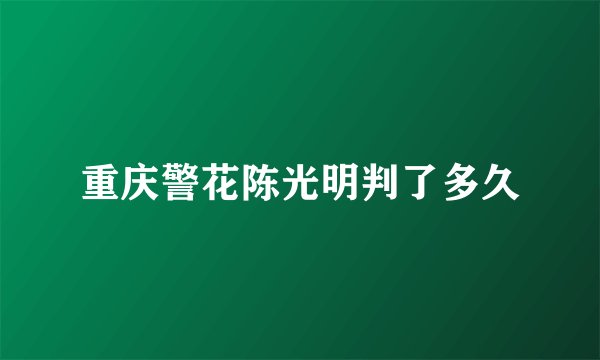 重庆警花陈光明判了多久