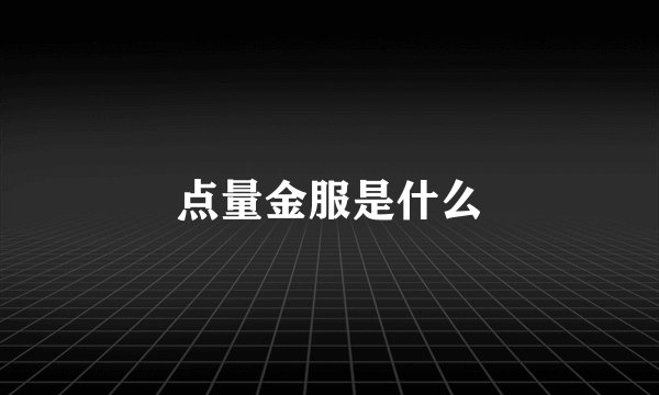点量金服是什么