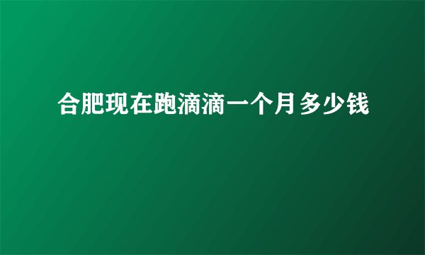 合肥现在跑滴滴一个月多少钱