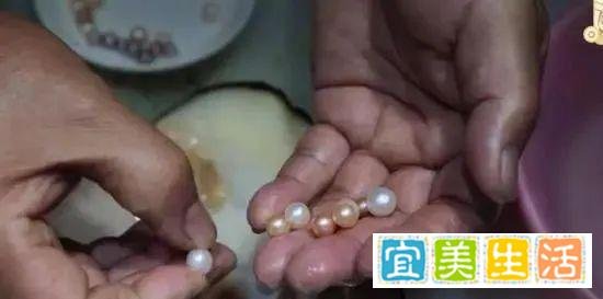 令人惊喜！女子网购贻贝称吃出多颗珍珠，网友羡慕不已