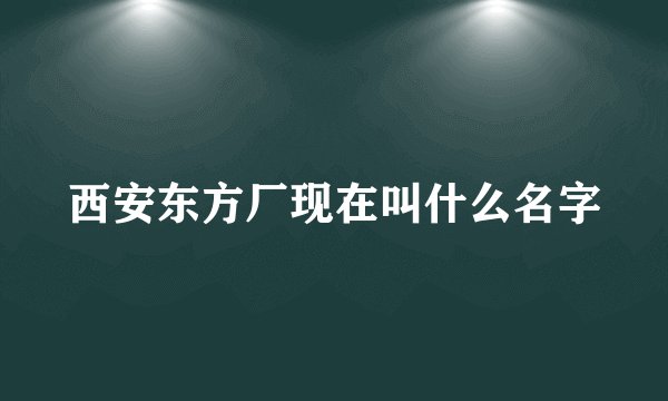 西安东方厂现在叫什么名字