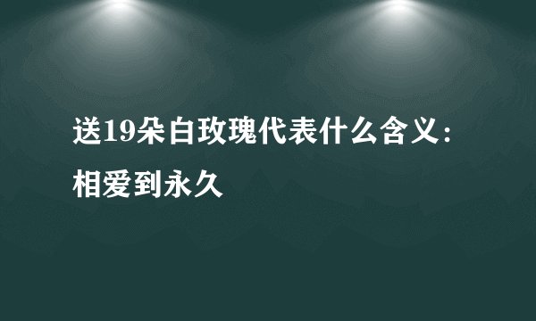 送19朵白玫瑰代表什么含义：相爱到永久