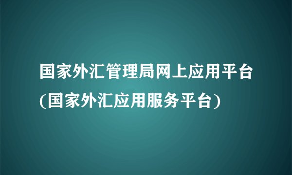 国家外汇管理局网上应用平台(国家外汇应用服务平台)