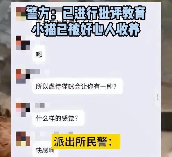 杭州一女子边笑边拿刀捅猫,派出所回应:已对其进行批评教育