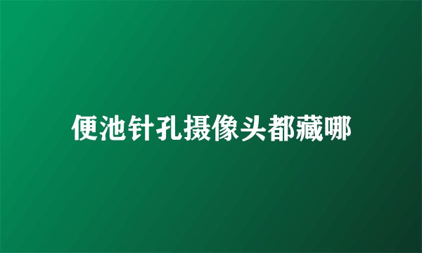 便池针孔摄像头都藏哪