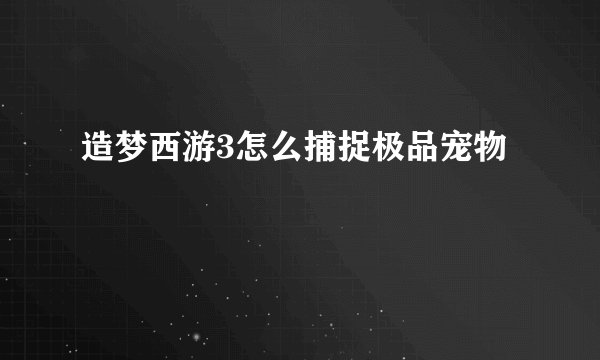 造梦西游3怎么捕捉极品宠物