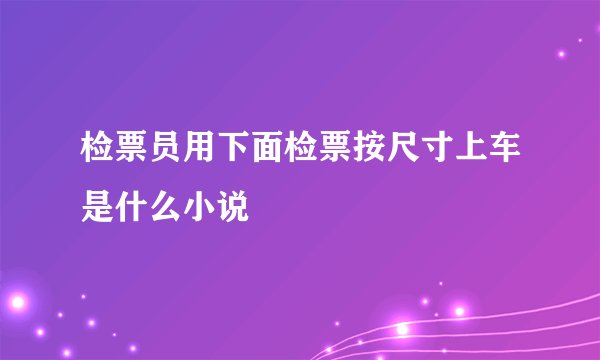检票员用下面检票按尺寸上车是什么小说