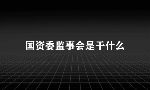 国资委监事会是干什么