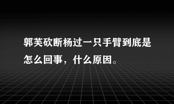 郭芙砍断杨过一只手臂到底是怎么回事，什么原因。