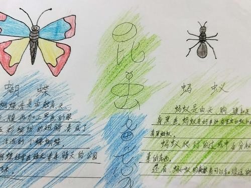 蝴蝶🦋备忘录？